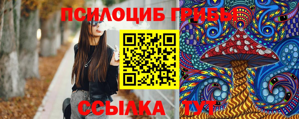 Ишимбай  Псилоцибиновые грибы Psilocybe  наркотики  Вход с VPN  Галлюциногенные грибы мухоморы 